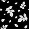 Monochrome black and white colored seamless pattern with raspberry leaves.