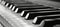 Monochrome close up photo of black and white piano keyboard for detailed examination