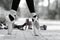 Monochrome closeup of a ballerinas feet in Pointe