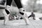 Monochrome closeup of a ballerinas feet in Pointe