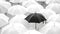 Monochrome Contrast: Black Umbrella Amidst a Sea of White