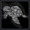 Monochrome Cute sea Turtle mandala arts