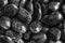 Monochrome Dried kidney brown speckled beans Concept of proper nutrition and healthy lifestyle. Close-up as background or texture