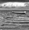 Monochrome empty lone rowing boat floating out at sea with ominous sky