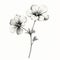 Monochrome Geranium Flower Drawing - Simple Linear Design