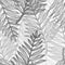 Monochrome gray tropical leaves pattern