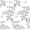 Monochrome hand drawn seamless floral pattern hummingbird for coloring page, print, tattoo