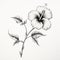Monochrome Hibiscus Ink Drawing: Minimalistic Floral Illustration