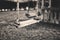 monochrome image empty swing at the playground in summer, horizontal