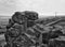 Monochrome image of a large stone outcrop known as great rock in todmorden west yorkshire with overcast sky surrounding fields