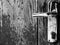 Monochrome image, old door with dirty white door handle, focus on the aged , scratched pine wood