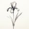 Monochrome Iris Flower Drawing: Minimalist Art Poster