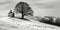 Monochrome Landscape with a Lone Tree and a Small Chapel on a Snowy Hill Depicting Solitude and Tranquility