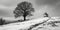 Monochrome Landscape with a Lone Tree and a Small Chapel on a Snowy Hill Depicting Solitude and Tranquility