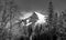 Monochrome landscape view of Mt Krivan in High Tatras, Slovakia