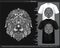 Monochrome Lion head mandala arts isolated on black and white t shirt