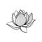 Monochrome lotus floral on white background