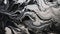Monochrome Mastery: Abstract Acrylic Painting Featuring Dynamic Black and White Swirl Patterns Reminiscent of Wind and Water