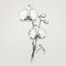 Monochrome Orchid: A Simple And Elegant Floral Illustration