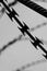 Monochrome photo of detail of barbed wire. Steel border. Prison, military or quarantine concept