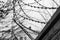 Monochrome photo of detail of barbed wire. Steel border. Prison, military or quarantine concept