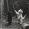 Monochrome photo of playful Felidae kittens with tree branch