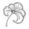 Monochrome picture, large iris flower, decorative style, vector illustration