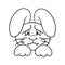 Monochrome picture, Offended, sad rabbit, animal emotions, dissatisfied hare, vector