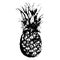 Monochrome pineapple fruit hand drawn sketched isolated vector