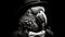 Monochrome Portrait Of A Cockatiel: Playful Yet Dark Junglepunk Detective Parrot
