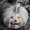 Monochrome pumpkin fiery smile eyes lantern jack devilish head terrifying decor halloween