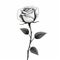 Monochrome Rose: A Romantic Illustration In Black And White