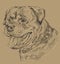Monochrome rottweiler vector hand drawing portrait