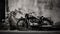 monochrome scene of a classic vintage bike