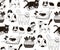 Monochrome seamless pattern with cats sleeping, washing, playing, stretching itself. Backdrop with cute purebred pet