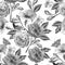 Monochrome seamless pattern with flowers. Rose. Butterfly. Watercolor illustration.