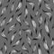 Monochrome seamless pattern with halftone leaves drawn by hand on a grey background.Monochrome feathers pattern.