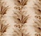 Monochrome Seamless pattern with pampas grass and dried flowers in natural beige sepia shades