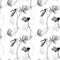 Monochrome seamless pattern with Poppies flowers