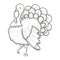 Monochrome sketch turkey