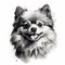 Monochrome Stencil Art Of Smiling Pomeranian Dog