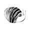 Monochrome striped snail for your design