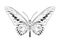 Monochrome stylized butterfly contour on white background.