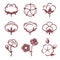 Monochrome stylized pictures set of white cotton flowers. Vector illustrations set