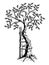 Monochrome tree of Andry