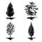 Monochrome tree silhouette sketched line art set isolated vector