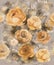 Monochrome watercolor gold decorative flowers on a dark background - a large pattern for wallpaper