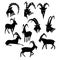 Monochrome Wild Goat Silhouettes Collection