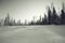 Monochrome winter landscape