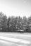 Monochrome wooden gazebo in forest in winter sunny day